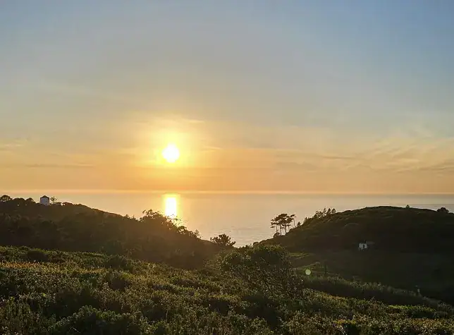 casa-boavista-omgeving-natuur-1