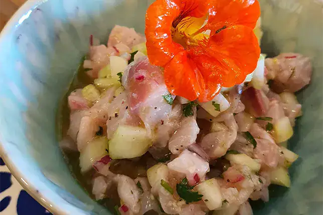 casa-boavista-tables-dhotes-tartare-van-makreel